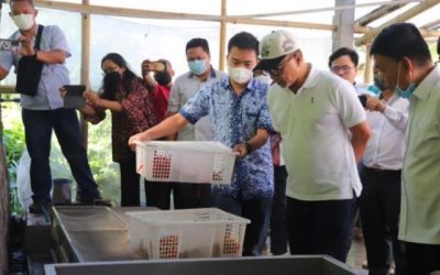 Ozonisasi produk pertanian menjaga ketahanan pangan